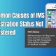 Understanding IMS Registration Status: Not Registered in 2024